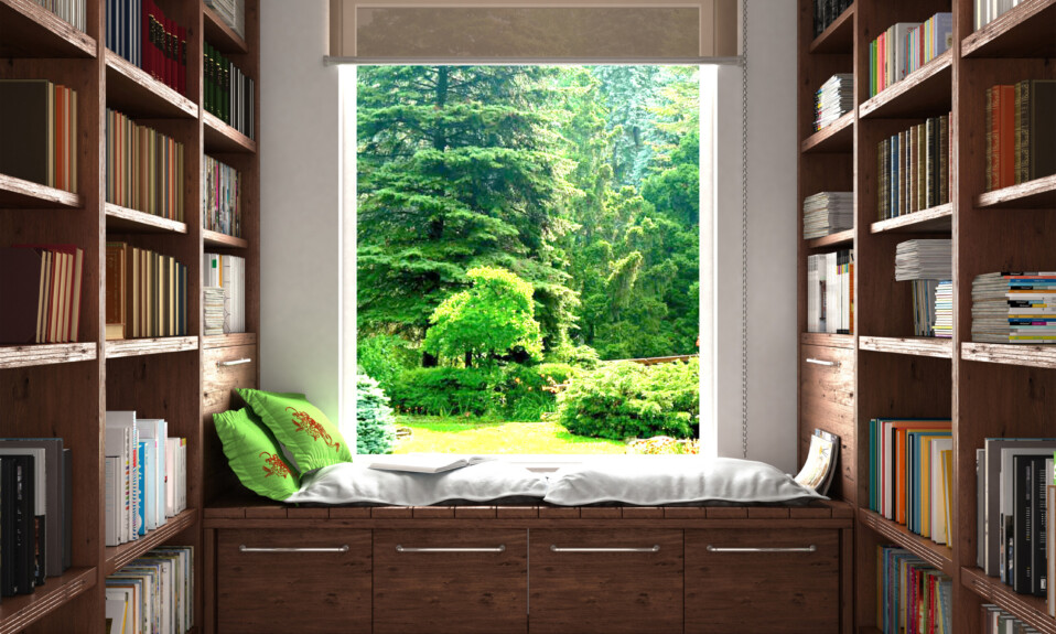 large window in home library