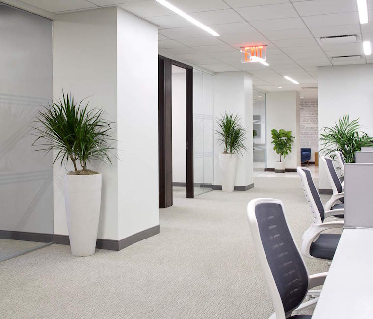an innovative office design for blackstone financial décor aid