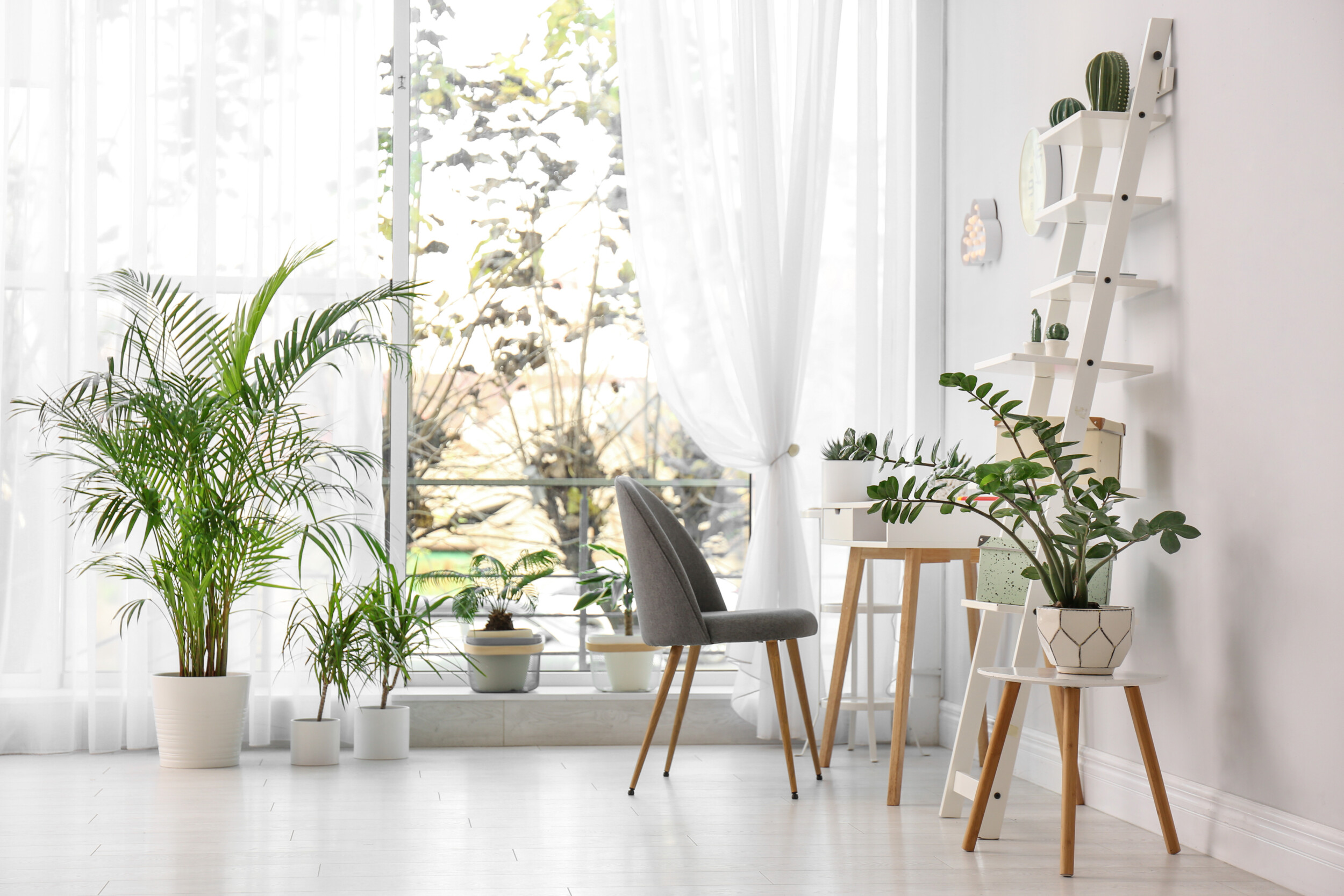 light room with plants