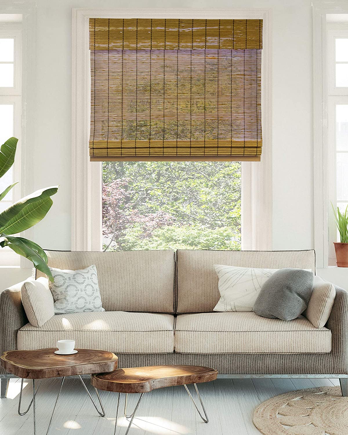 bamboo blinds