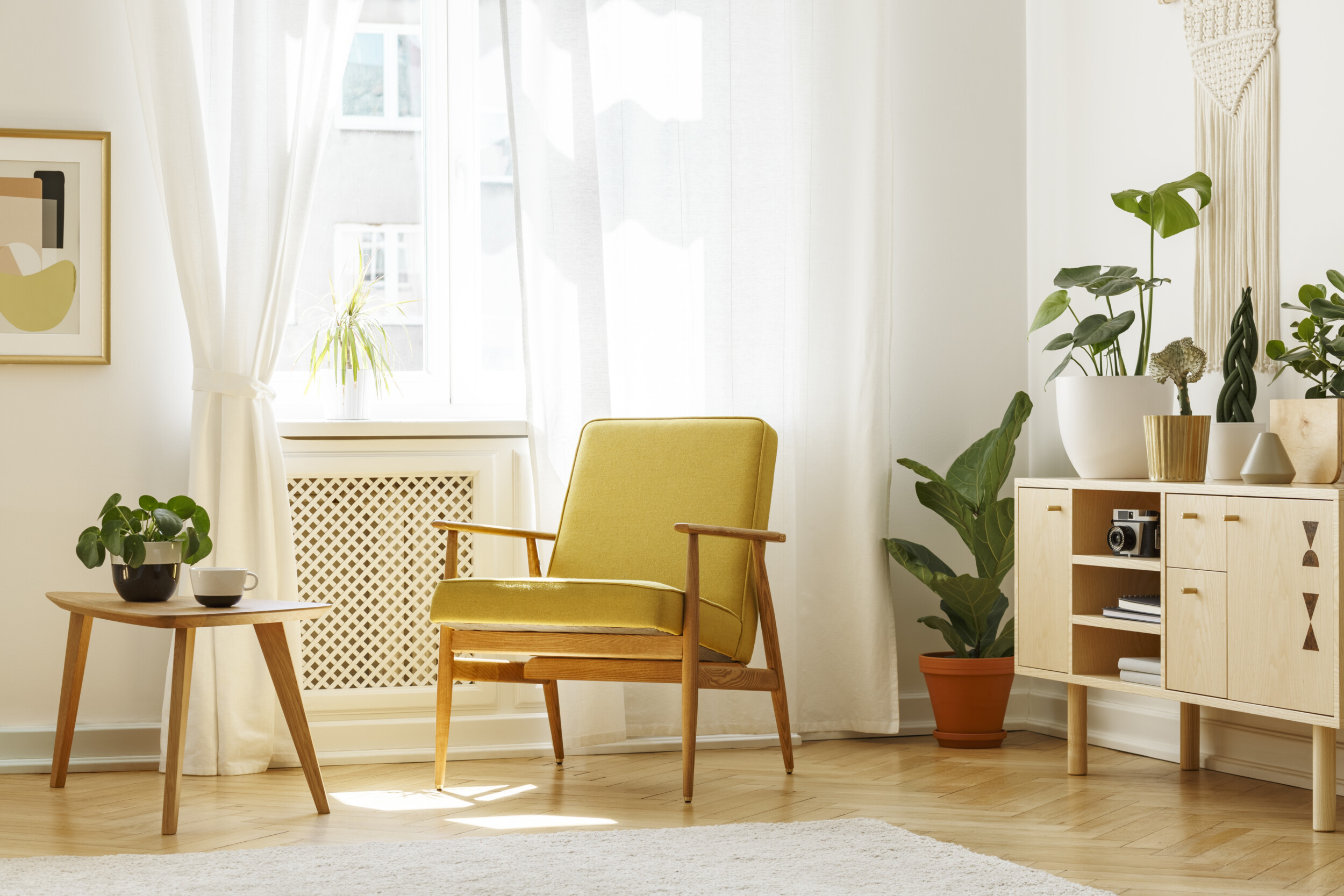 mid century living room