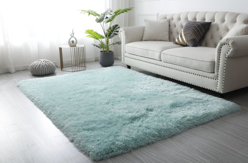 mint green area rug