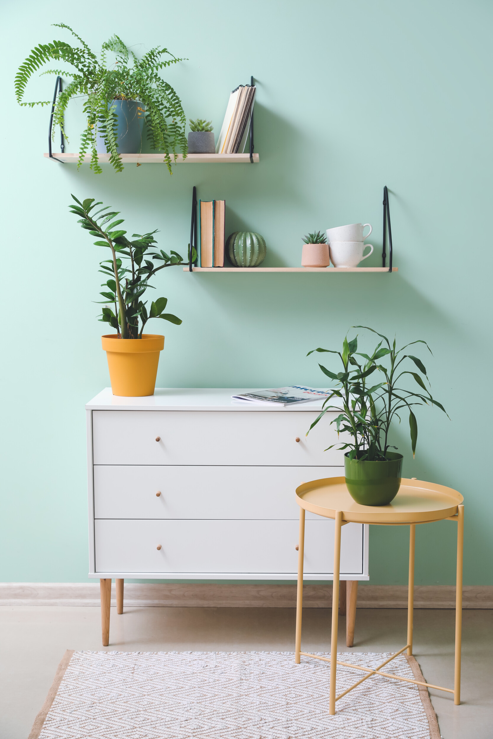 mint green wall interior