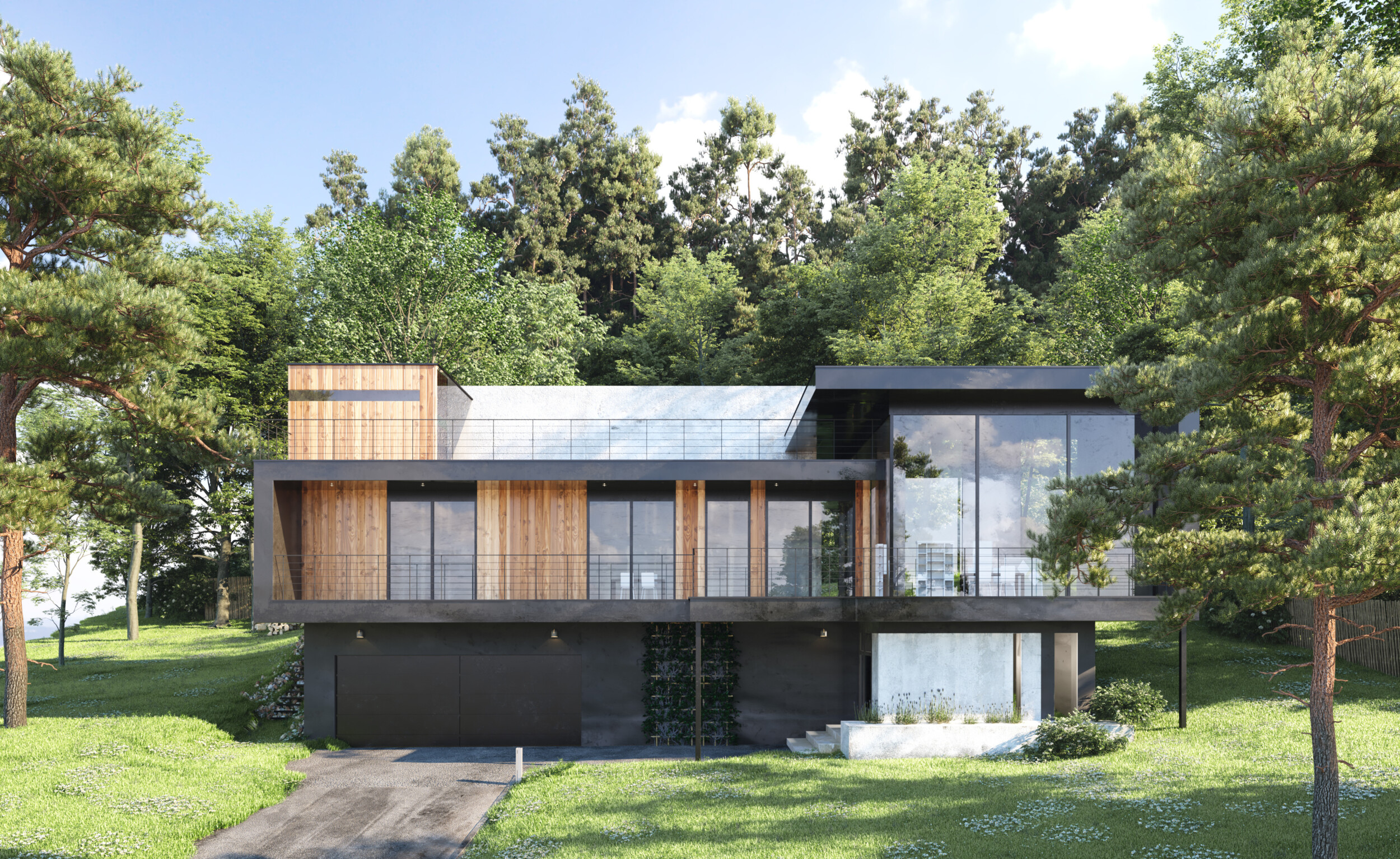 modern wooden black house 