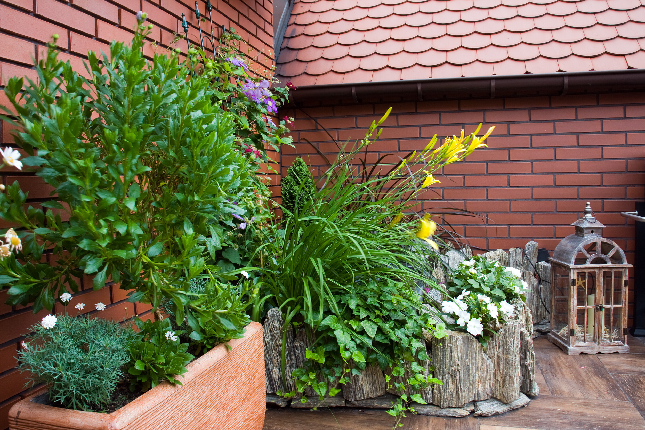 outdoor deck with potted plants