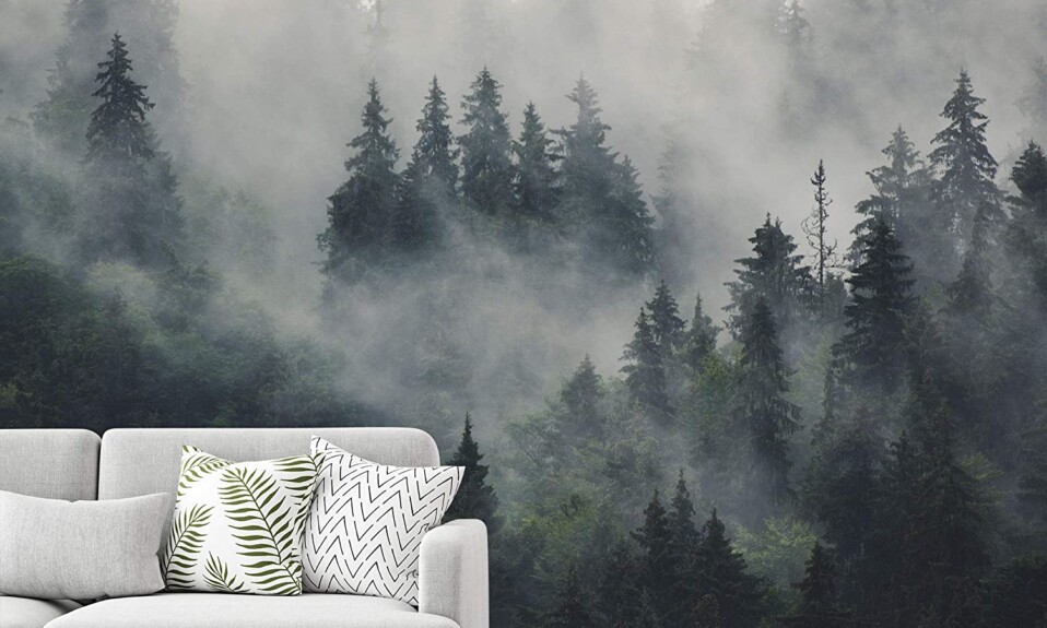 wall mural nature wallpaper