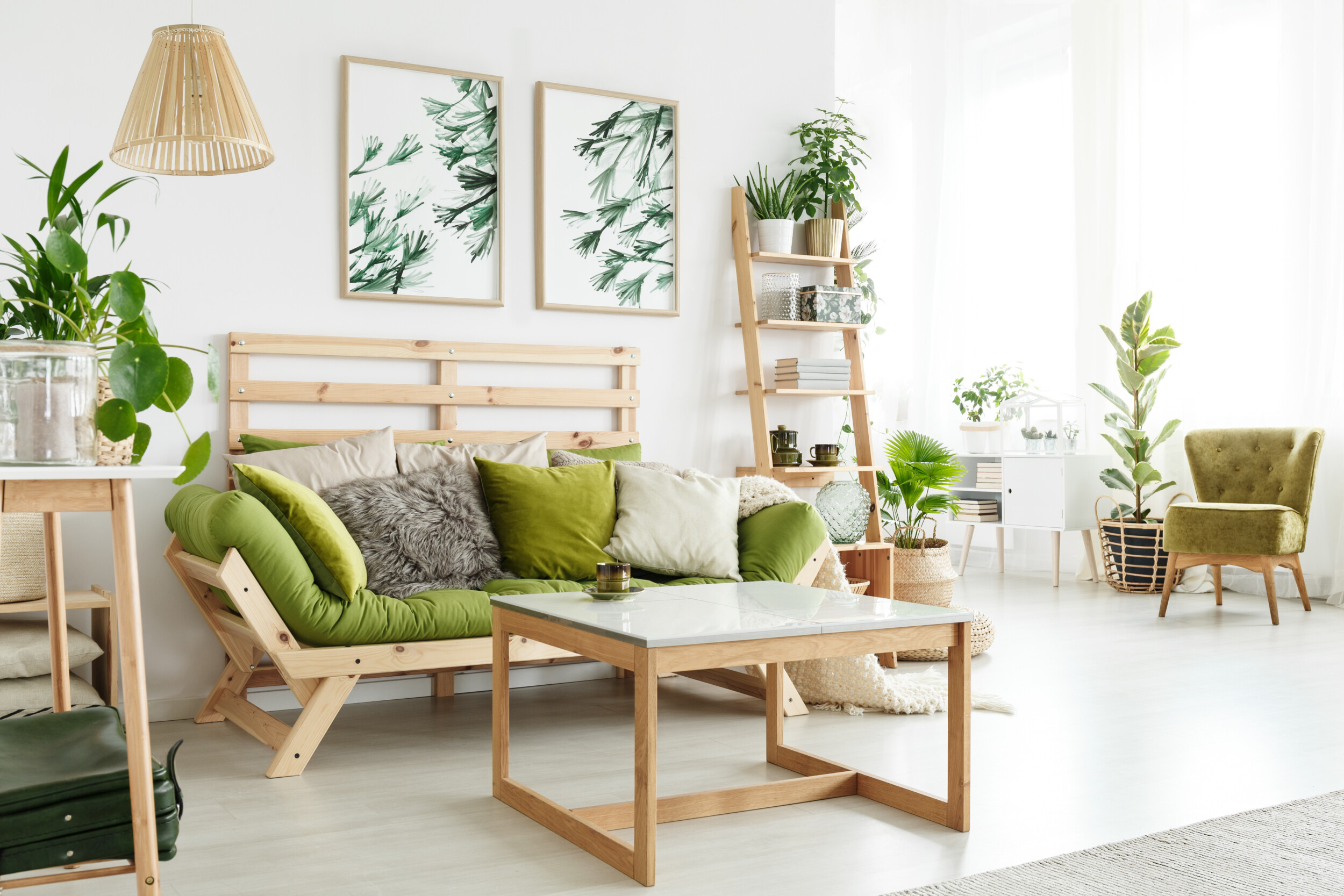Eco living room with plants