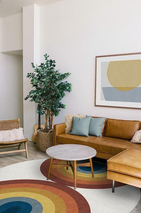 Mid Century Modern Style Living Room